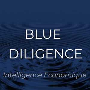 BLUE DILIGENCE Intelligence économique, un cabinet de conseil à Paris 10ème